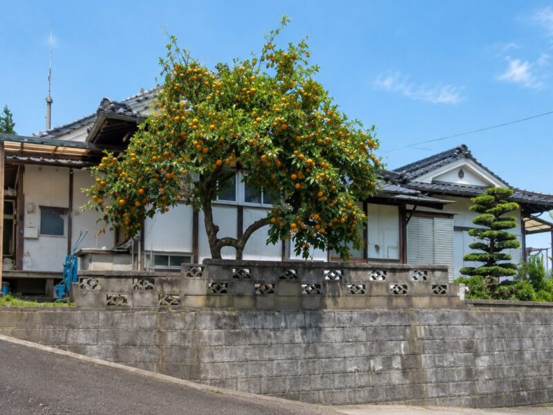 安芸郡平屋建て木造住宅解体工事
