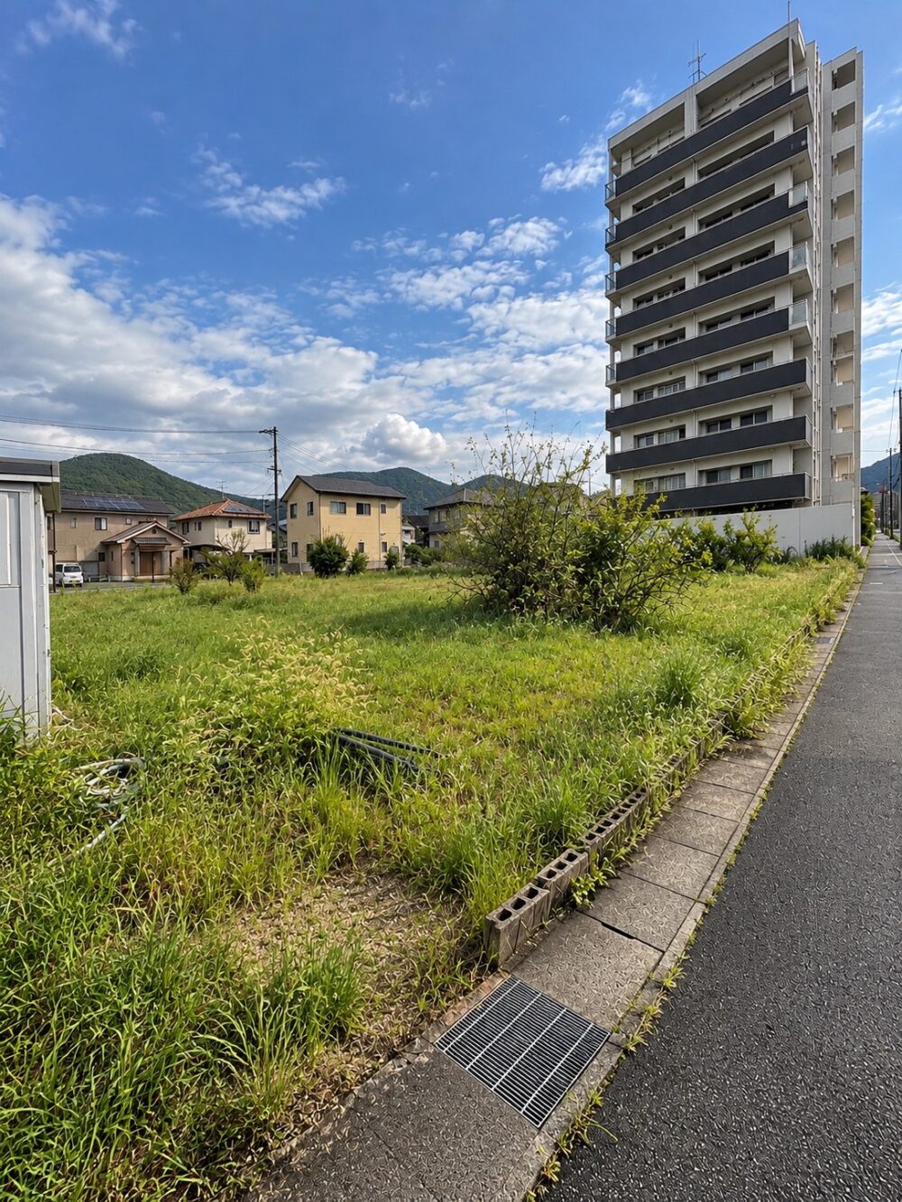 呉市植栽撤去工事 1085㎡ 解体前